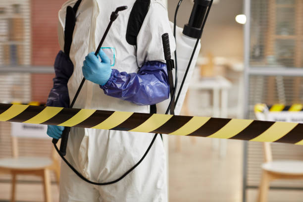 Professional Hoarding Cleanup technician working in Morrisville, NY